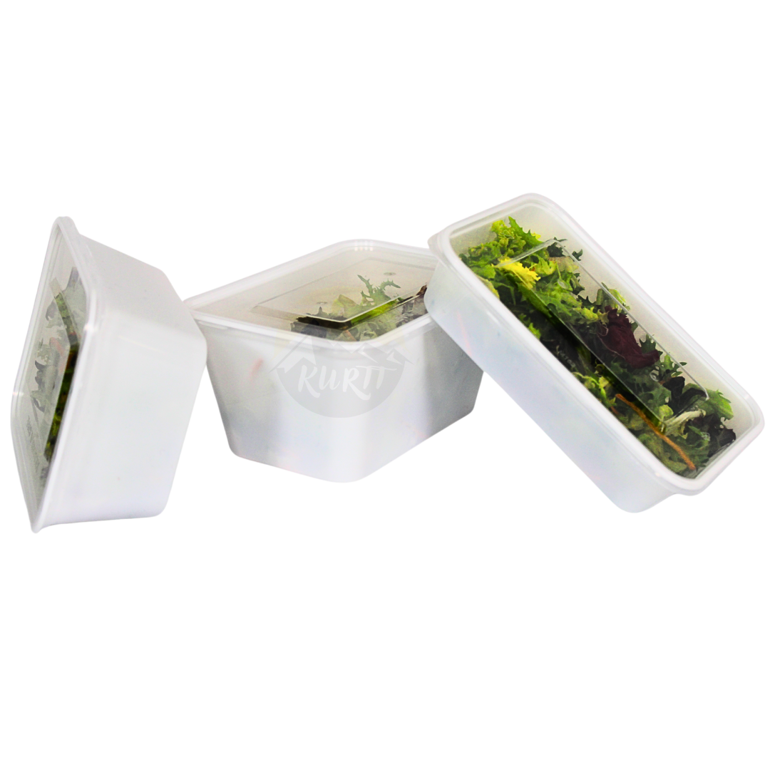Microwave containers with lid white