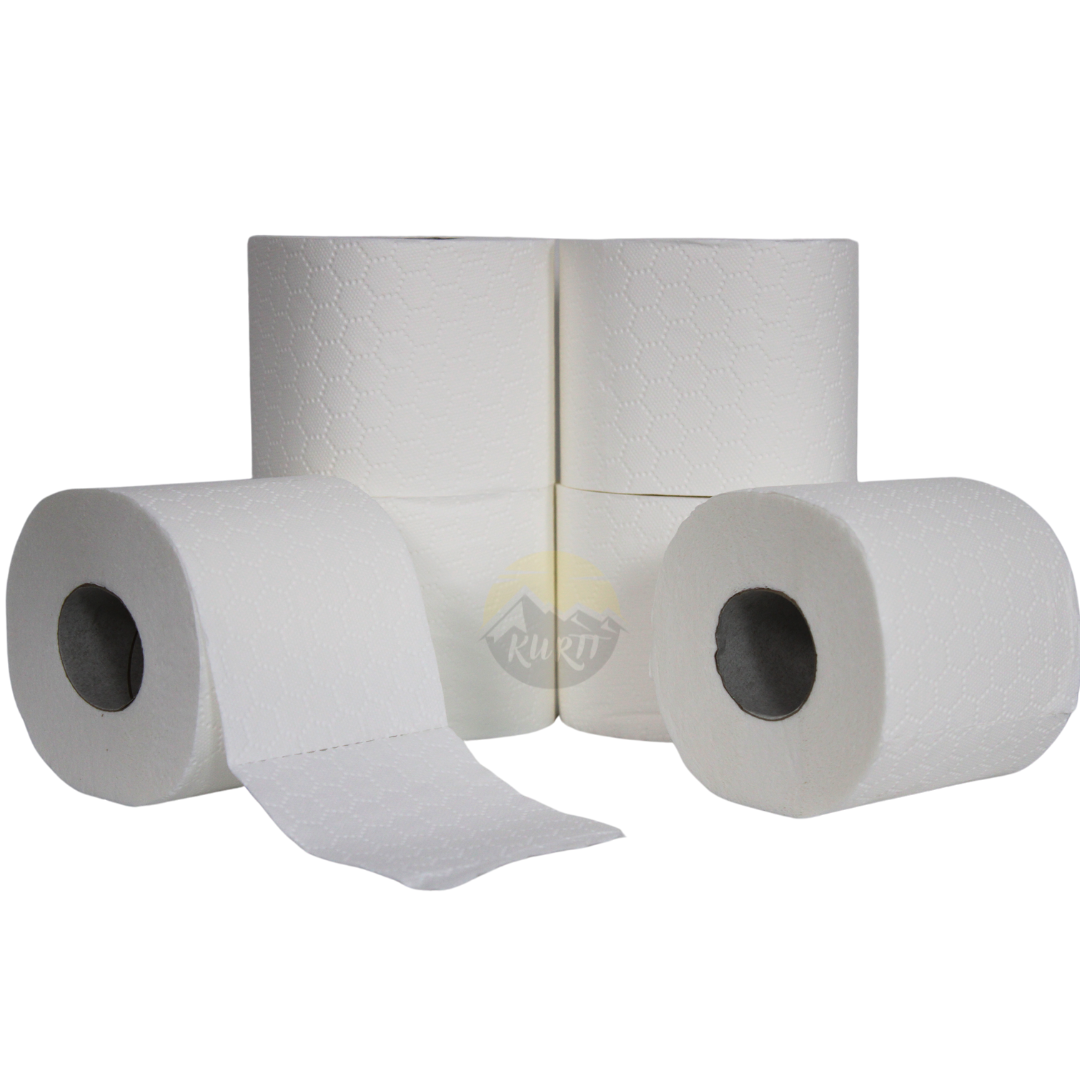 Toilet paper 3-ply - 250 sheets ECO
