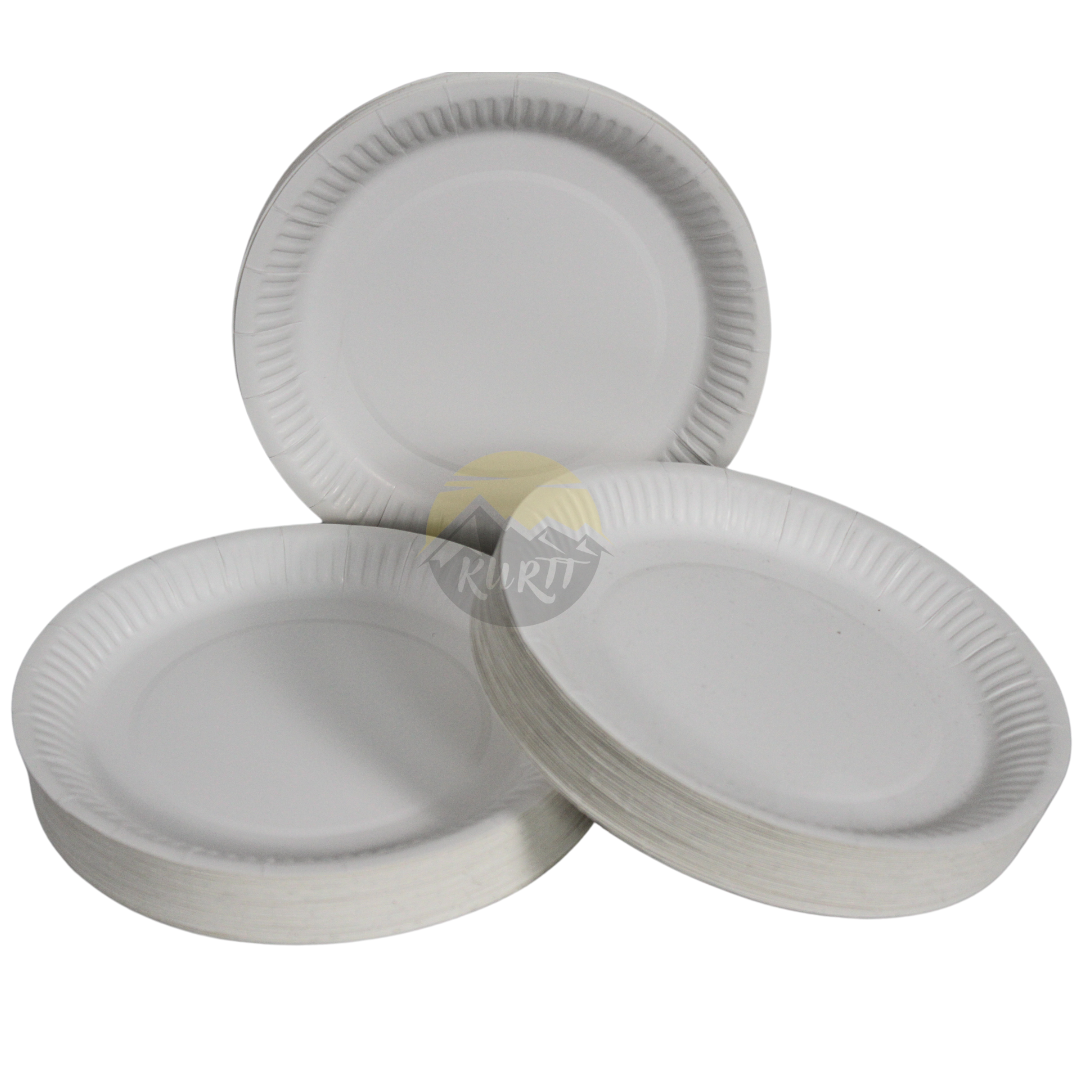 Pappteller 16 cm - 100 Stück