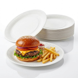 Pappteller 23 cm - 100 Stück