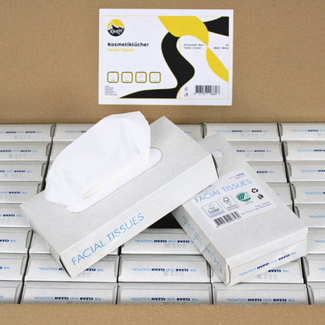 Kosmetiktücher (4.000 Stück) 2-lagig, Cellulose Papiertaschentücher, 40 Boxen x 100 Gesichtstücher
