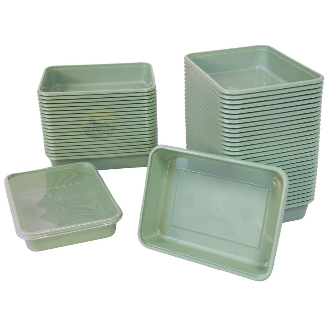 50x Mikrowellendosen mit Deckel 500ml - Meal-Prep-Dosen grün