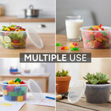 Reusable Transparent Round 500cc - 100 pieces